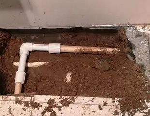 昂仁测漏水哪家好