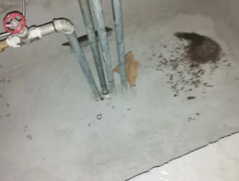 昂仁卫生间测漏水价格明细