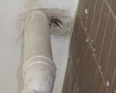 昂仁漏水检测哪家好